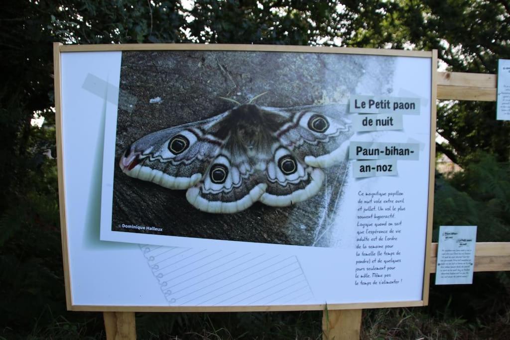 La Petite Bretonne Villa Plounerin Exterior photo